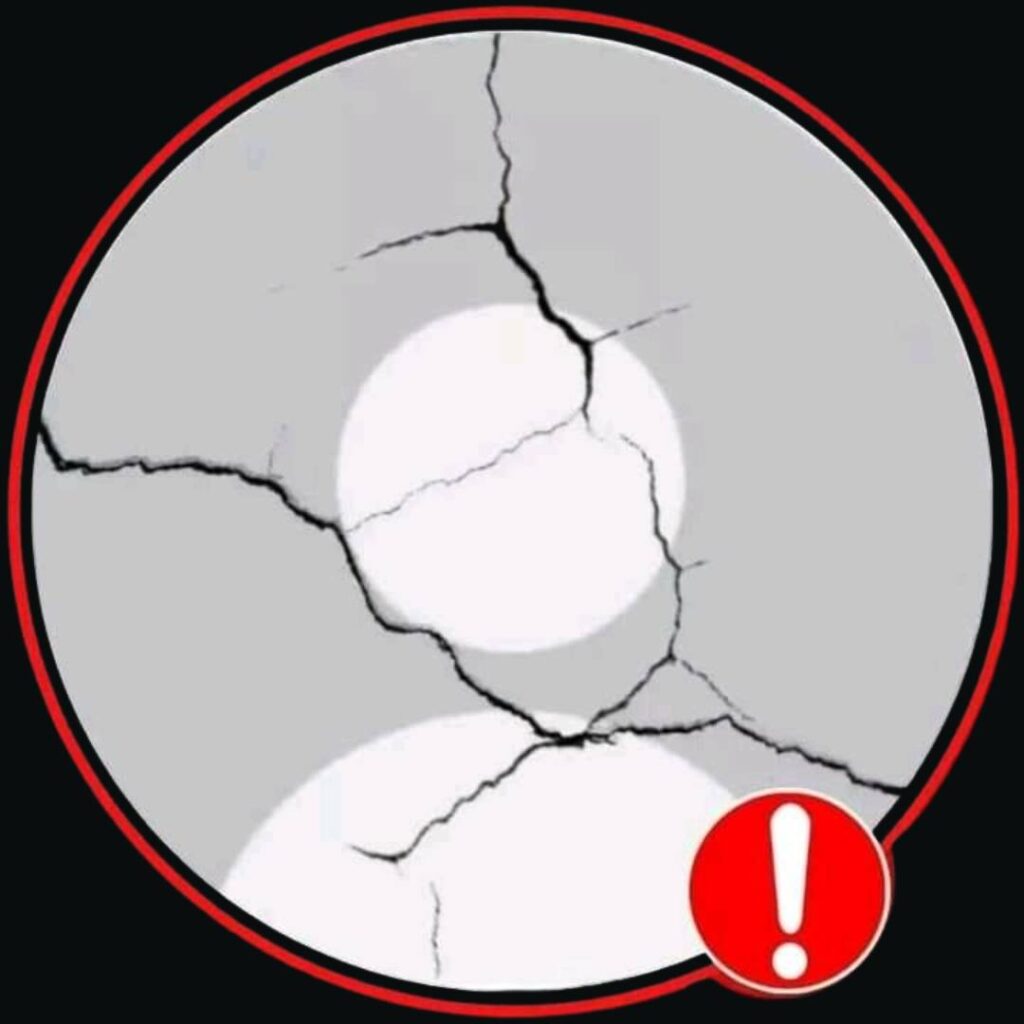 WhatsApp no DP Icon Crack