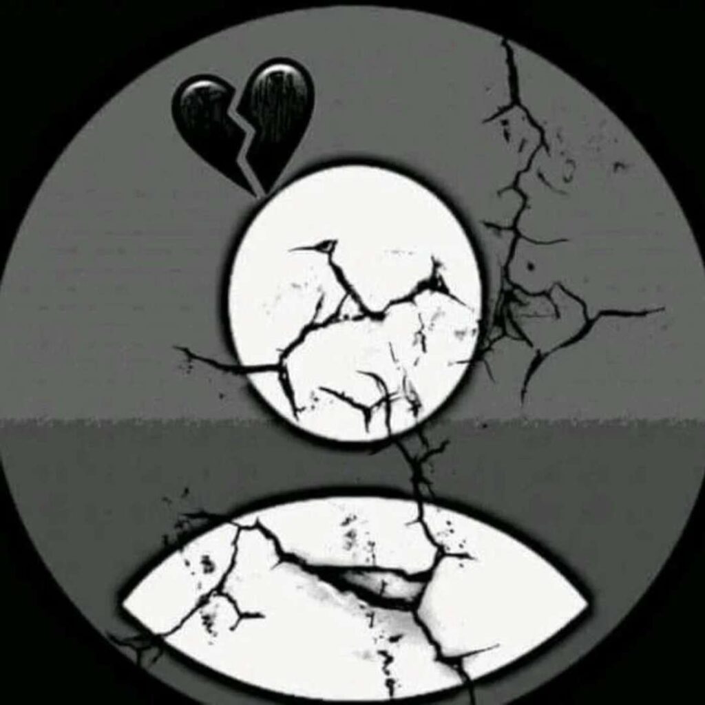 WhatsApp no DP Icon Crack